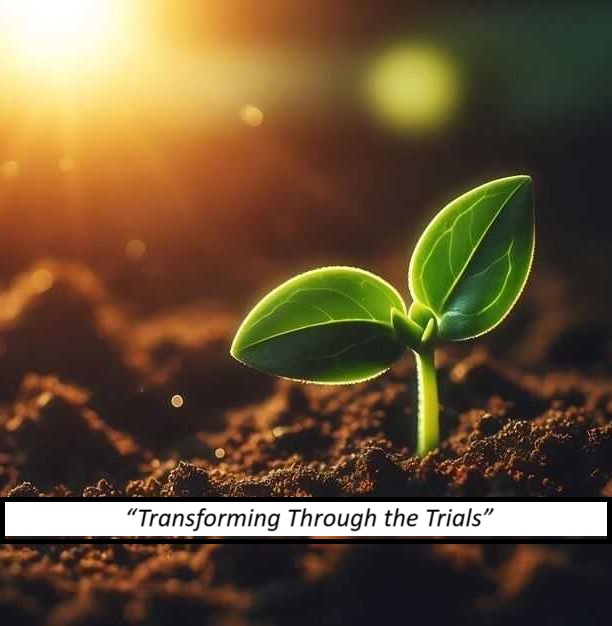 Quotes About Growing Through What You Go Through: 101 Resilient Reminders of Strength in Struggle