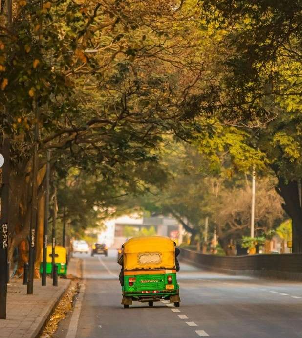 Auto Driver Drops Woman Midway and Lectures Her About Career Choice