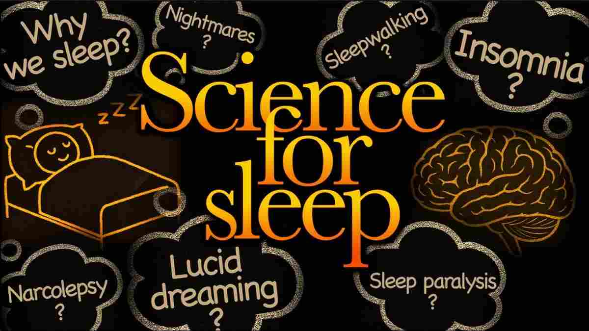 The Science of Sleep: How Modern Lifestyles Are Affecting Your Rest