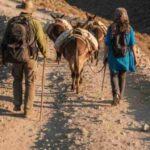 2 Indians Kidnapped, Tortured on Livestream in Azerbaijan While Trying ‘Donkey Route’ to US