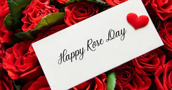 Rose Day 2026: Valentine’s Week Begins with Floral Celebrations and Messages of Love